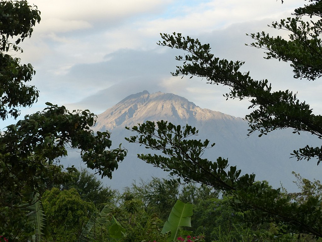 Picture of Arusha, Arusha, Tanzania