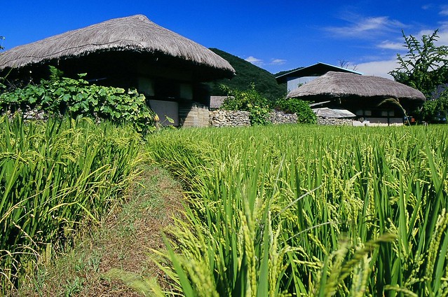 Picture of Asan, Chungcheongnam-do, South Korea