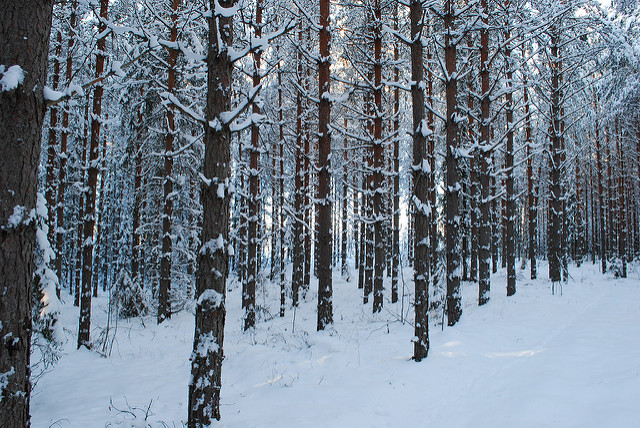 Picture of Elimäki, Kymenlaakso, Finland