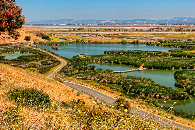 Picture of Fremont, California, United States