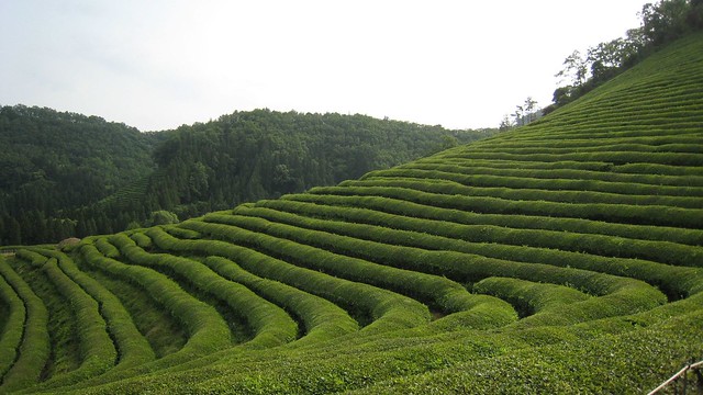 Picture of Kwangju, Gyeonggi-do, South Korea