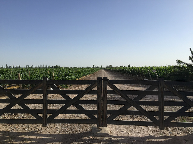 Picture of Maipú, Mendoza, Argentina