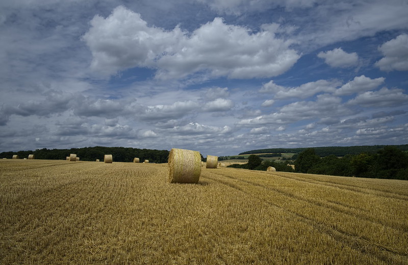 Picture of Manternach, Grevenmacher, Luxembourg