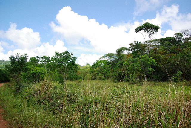 Picture of Matoury, Guyane State, French Guiana