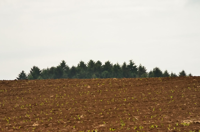 Picture of Niedercorn, Luxembourg, Luxembourg