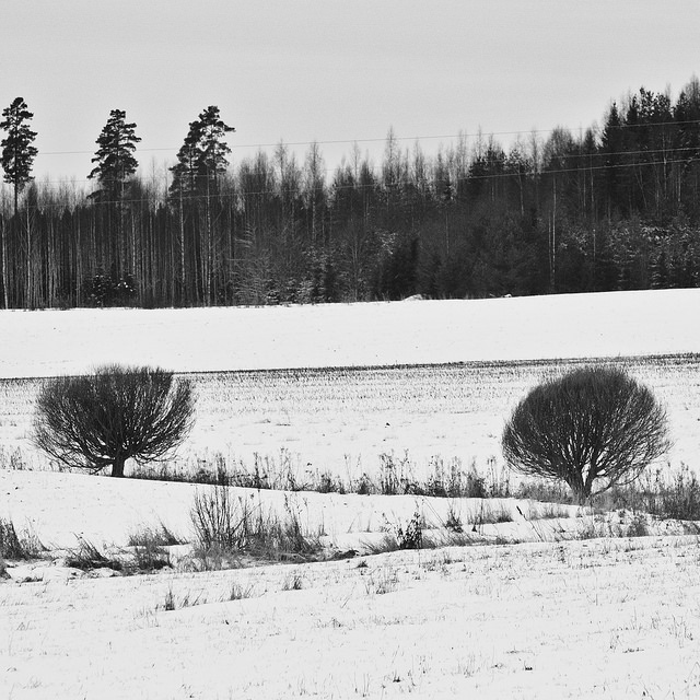 Picture of Orimattila, Päijänne Tavastia, Finland