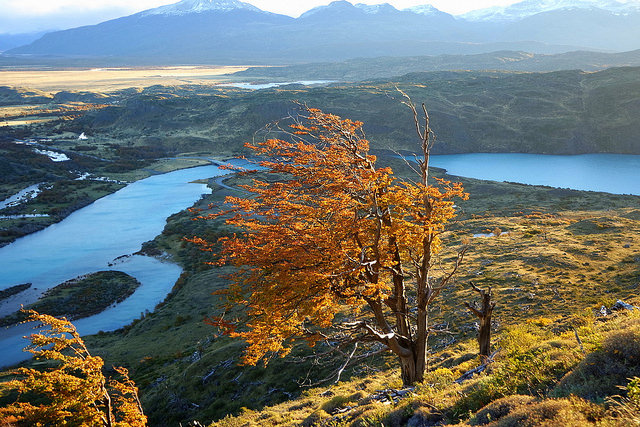 Picture of Paine, Santiago Metropolitan, Chile