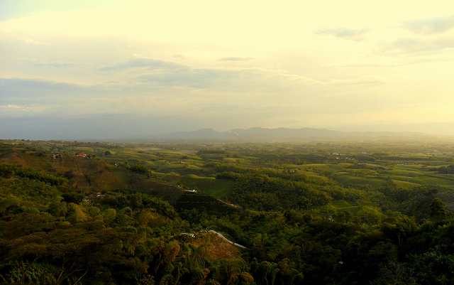 Picture of Pereira, Risaralda, Colombia