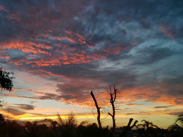 Picture of Pucallpa, Ucayali, Peru