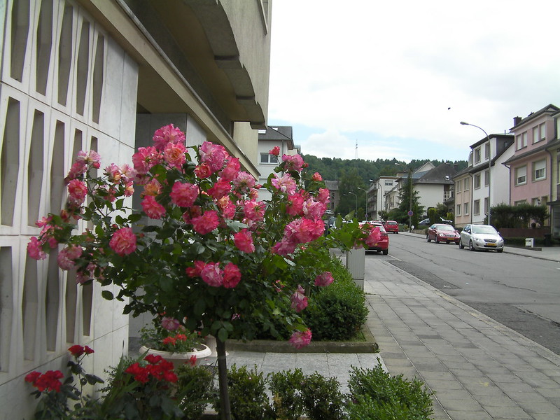 Picture of Pétange, Luxembourg, Luxembourg