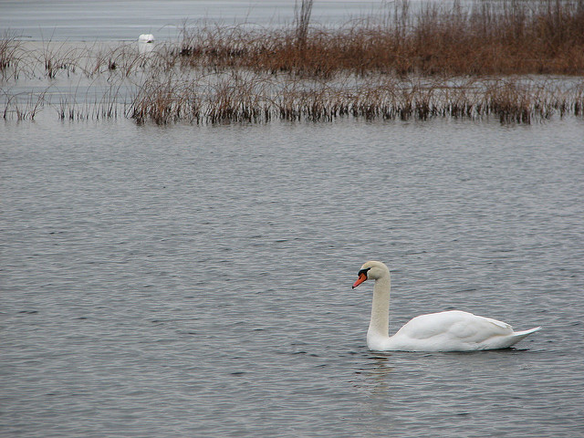 Picture of Waterford, Wisconsin, United States