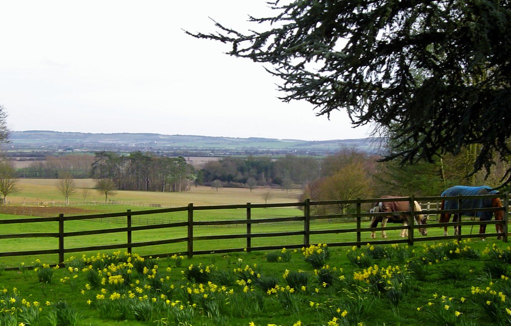 Picture of Wing, England, United Kingdom