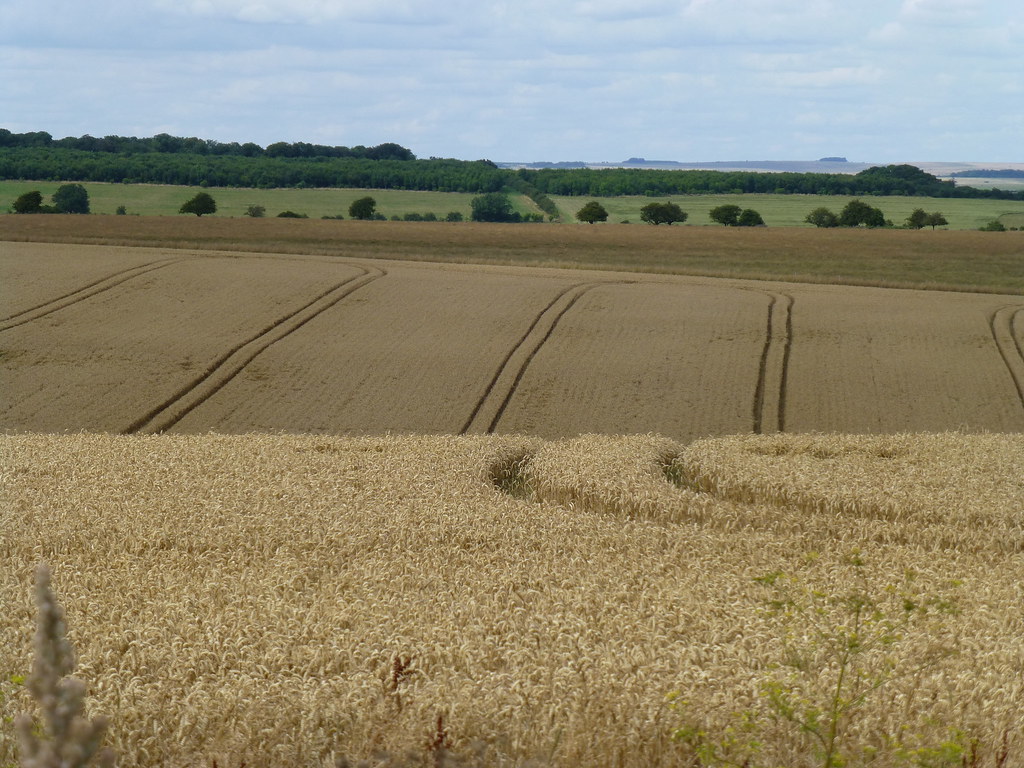 Picture of Winkleigh, England, United Kingdom