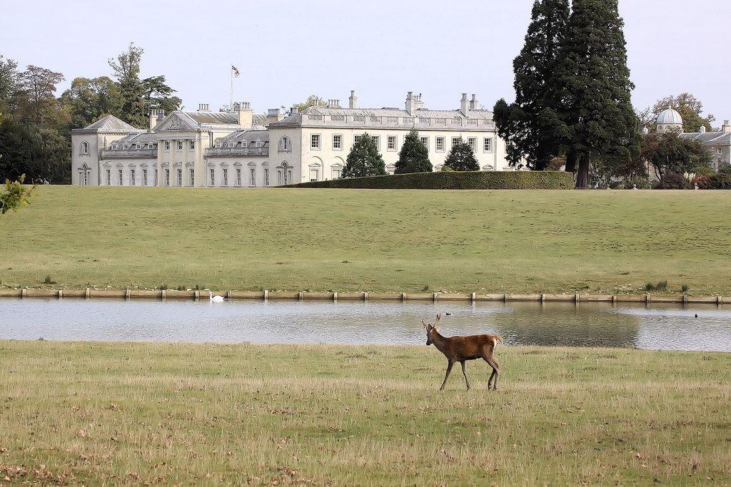 Picture of Woburn, England, United Kingdom